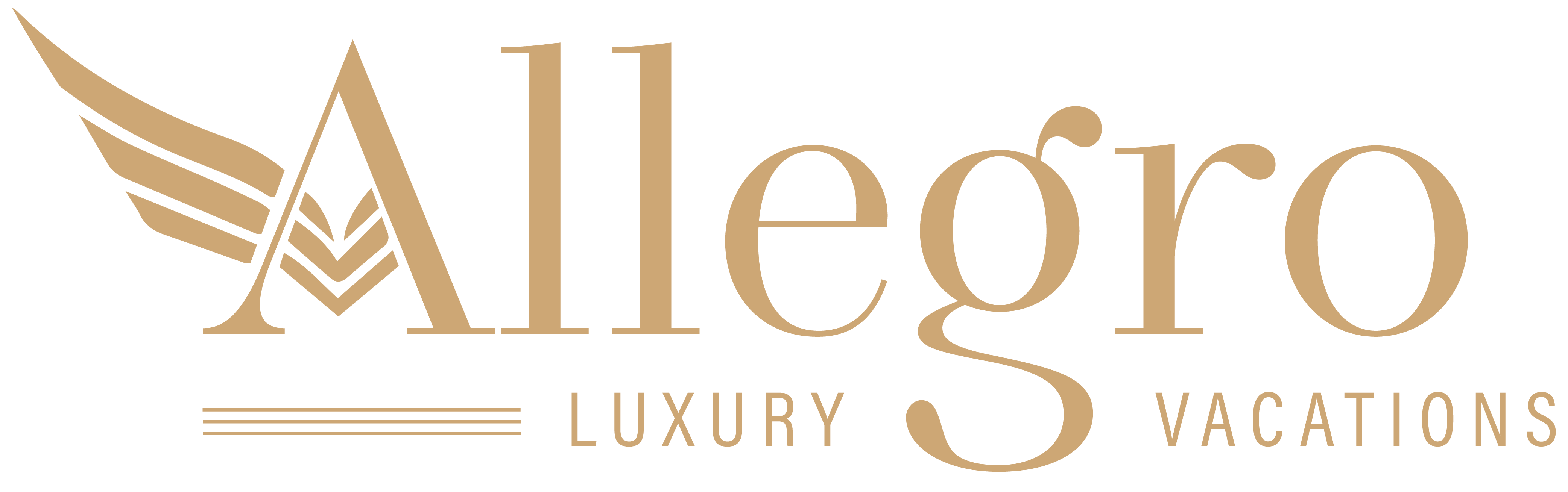 advisor business logo