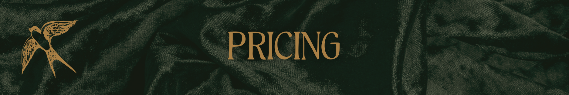 Copy of Copy of Ivory Modern Minimalistic Signature Newsletter Email Header (6).png