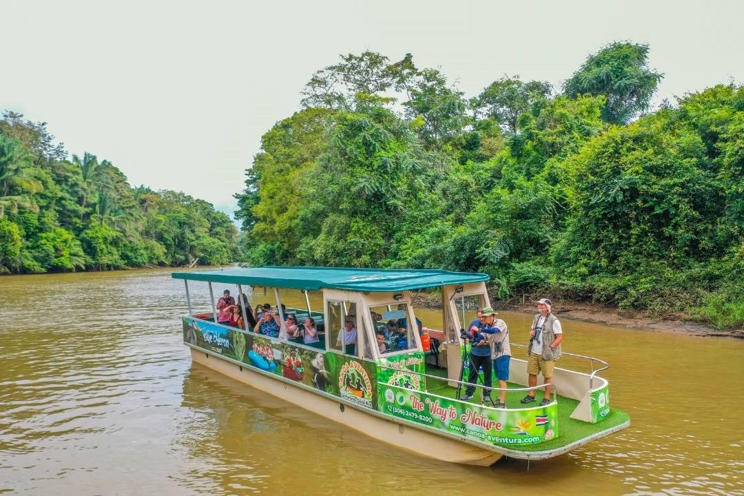 Wildlife-Boat-trip-Cano-Negro-Canos-Aventura.webp