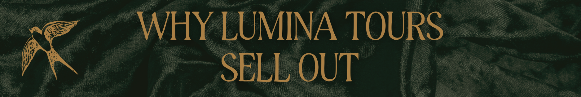 Copy of Copy of Ivory Modern Minimalistic Signature Newsletter Email Header (3).png