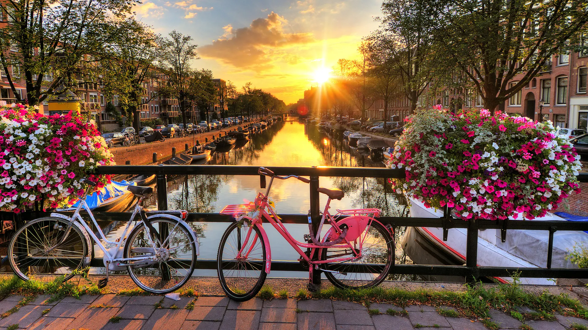 https://cdn.tern.travel/rails/active_storage/blobs/proxy/eyJfcmFpbHMiOnsibWVzc2FnZSI6IkJBaHBBMGtOZXc9PSIsImV4cCI6bnVsbCwicHVyIjoiYmxvYl9pZCJ9fQ==--732f2ed14bf00d5674f5823ac1aac27da5aaac67/image.png