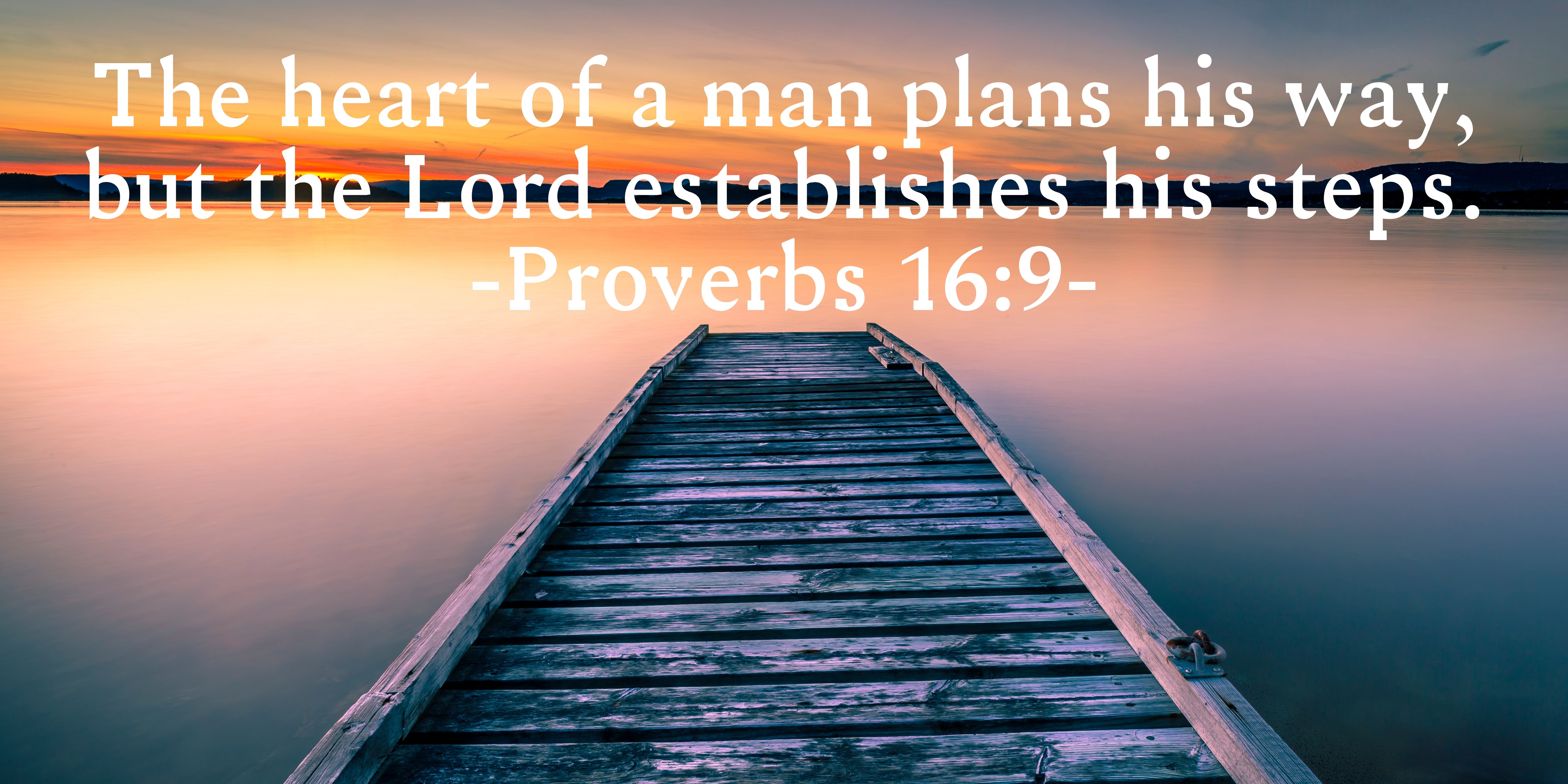 The heart of a man plans his way, but the Lord establishes his steps..jpg