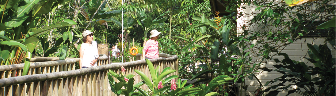 tropical_costa_rica_pre_ext_d4_tortuguero_national_park_san_jose.jpg