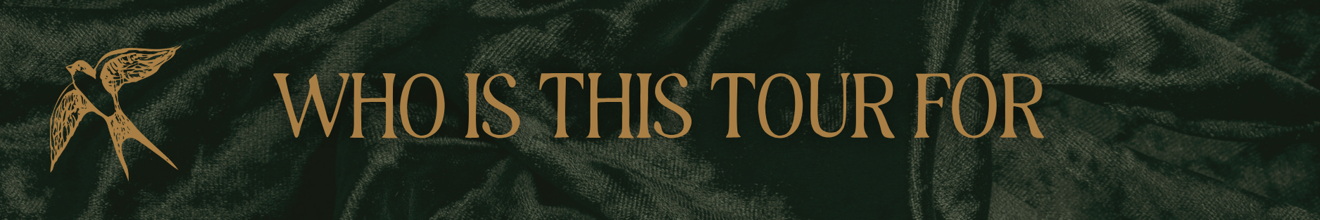 Copy of Copy of Ivory Modern Minimalistic Signature Newsletter Email Header (8).png