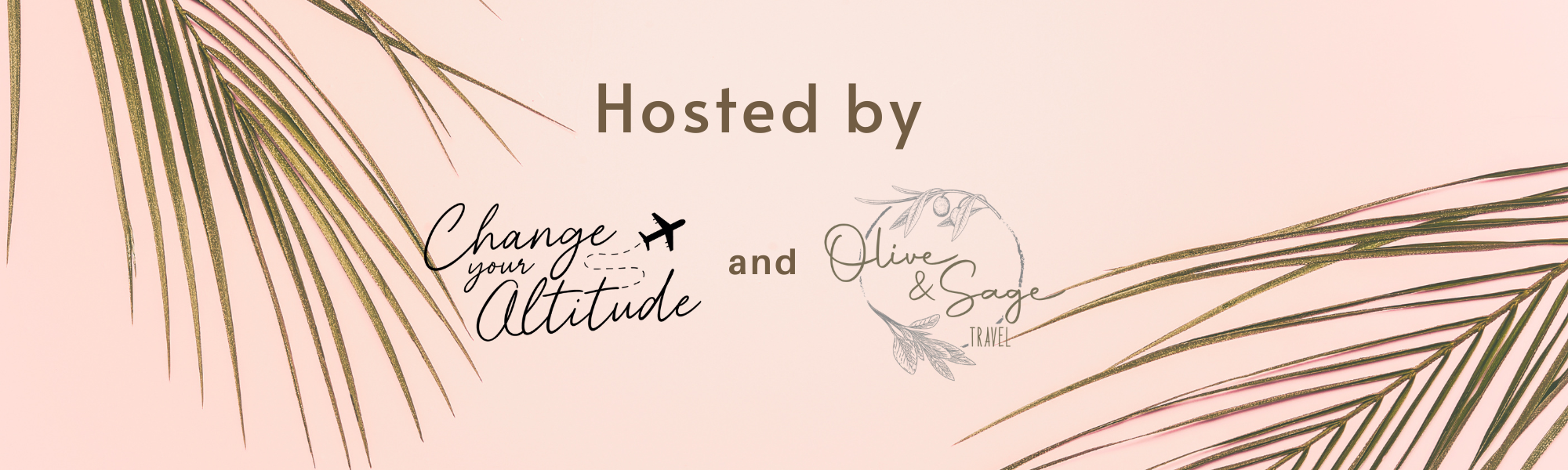 Beige Tropical leaves Travel blogger Linkedin Banner.png