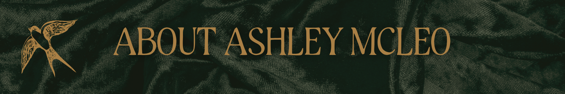 Copy of Copy of Ivory Modern Minimalistic Signature Newsletter Email Header (10).png