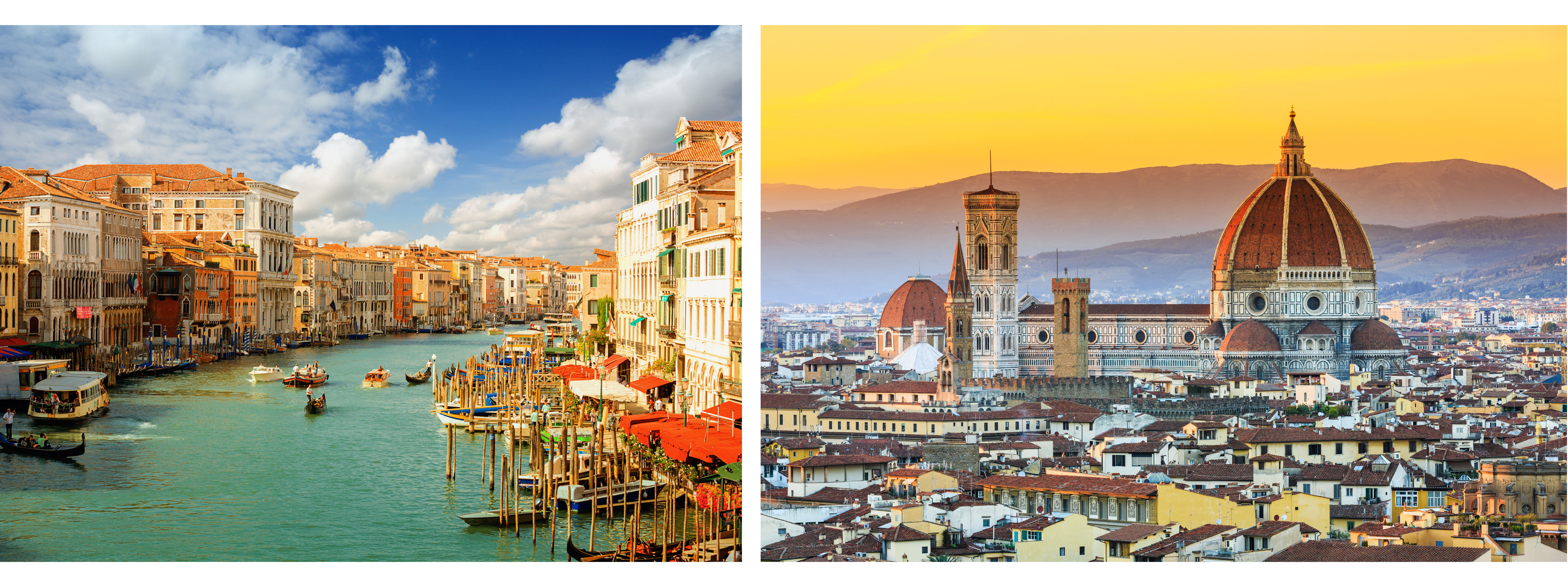 Untitled design (18).png