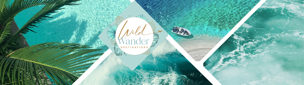 cover photo (1280 x 360 px).png