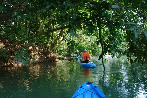 river-kayak-mangrove-samara-carrillo-info-center-costa-rica-5.webp