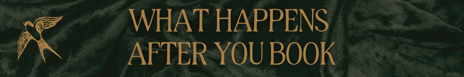 Copy of Copy of Ivory Modern Minimalistic Signature Newsletter Email Header (9).png