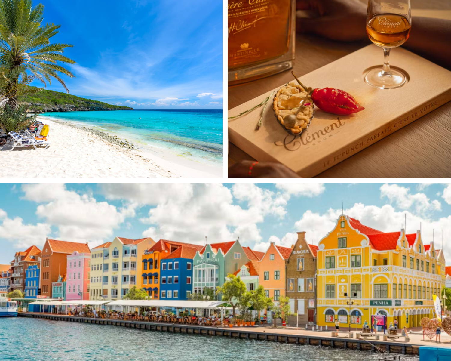 Brown Minimalist Desert Photo Collage.png