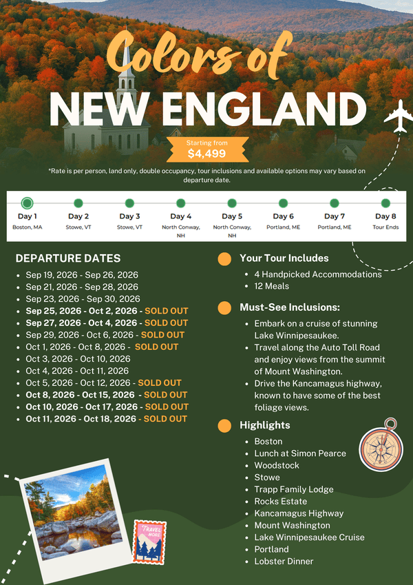 Green Modern Travel Itinerary A4 Document (2) (1).png