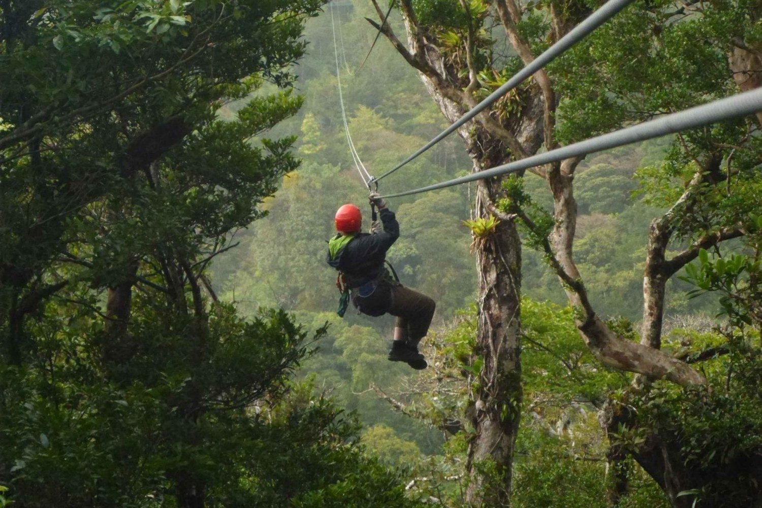 monteverde-monteverde-cloud-forest-canopy-adventure-3622593.jpg