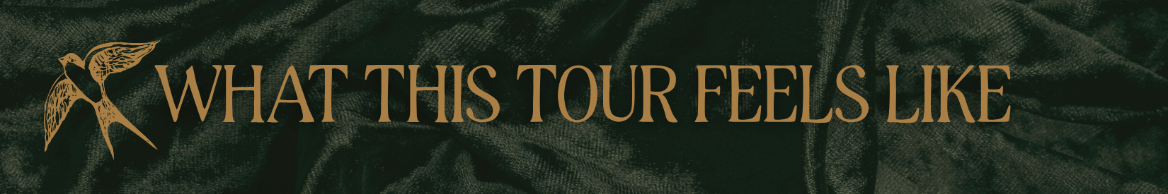 Copy of Copy of Ivory Modern Minimalistic Signature Newsletter Email Header (1).png