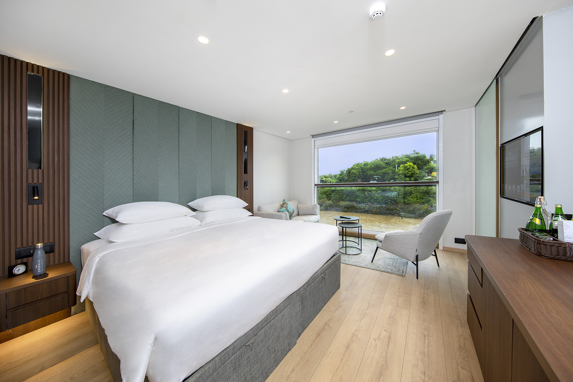 Harmony-Panorama Cat B.jpg