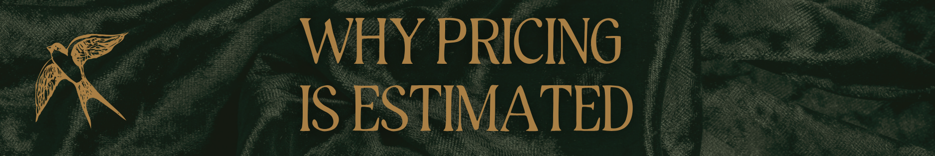 Copy of Copy of Ivory Modern Minimalistic Signature Newsletter Email Header (7).png