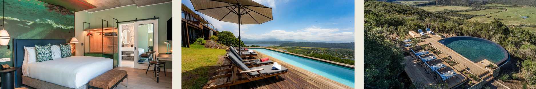 Copy of Copy of Ivory Modern Minimalistic Signature Newsletter Email Header (5).png