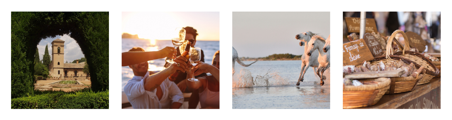 France Collage 4.png