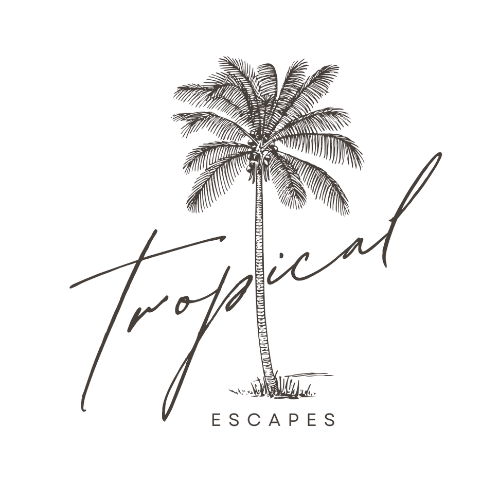 advisor business logo