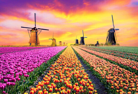 https://cdn.tern.travel/rails/active_storage/blobs/proxy/eyJfcmFpbHMiOnsibWVzc2FnZSI6IkJBaHBBek1OZXc9PSIsImV4cCI6bnVsbCwicHVyIjoiYmxvYl9pZCJ9fQ==--95e3d7c7f5e206bc4eda2cac6fec71673a49fd1f/image.jpeg