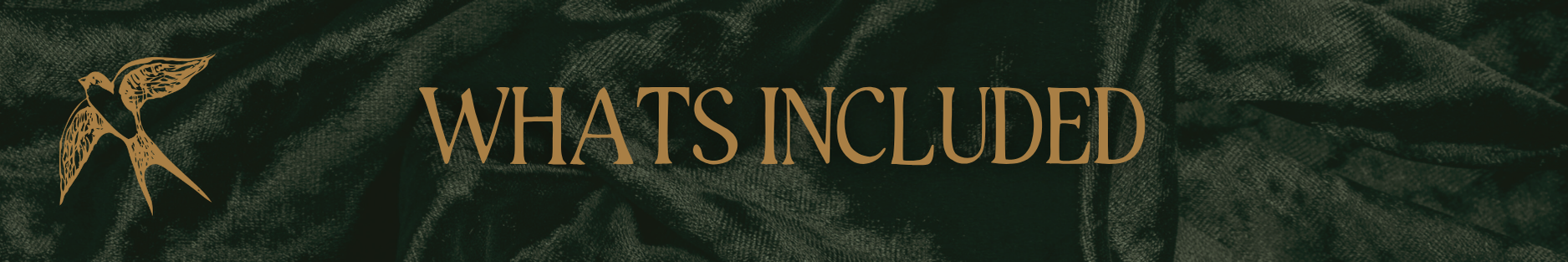 Copy of Copy of Ivory Modern Minimalistic Signature Newsletter Email Header (5).png