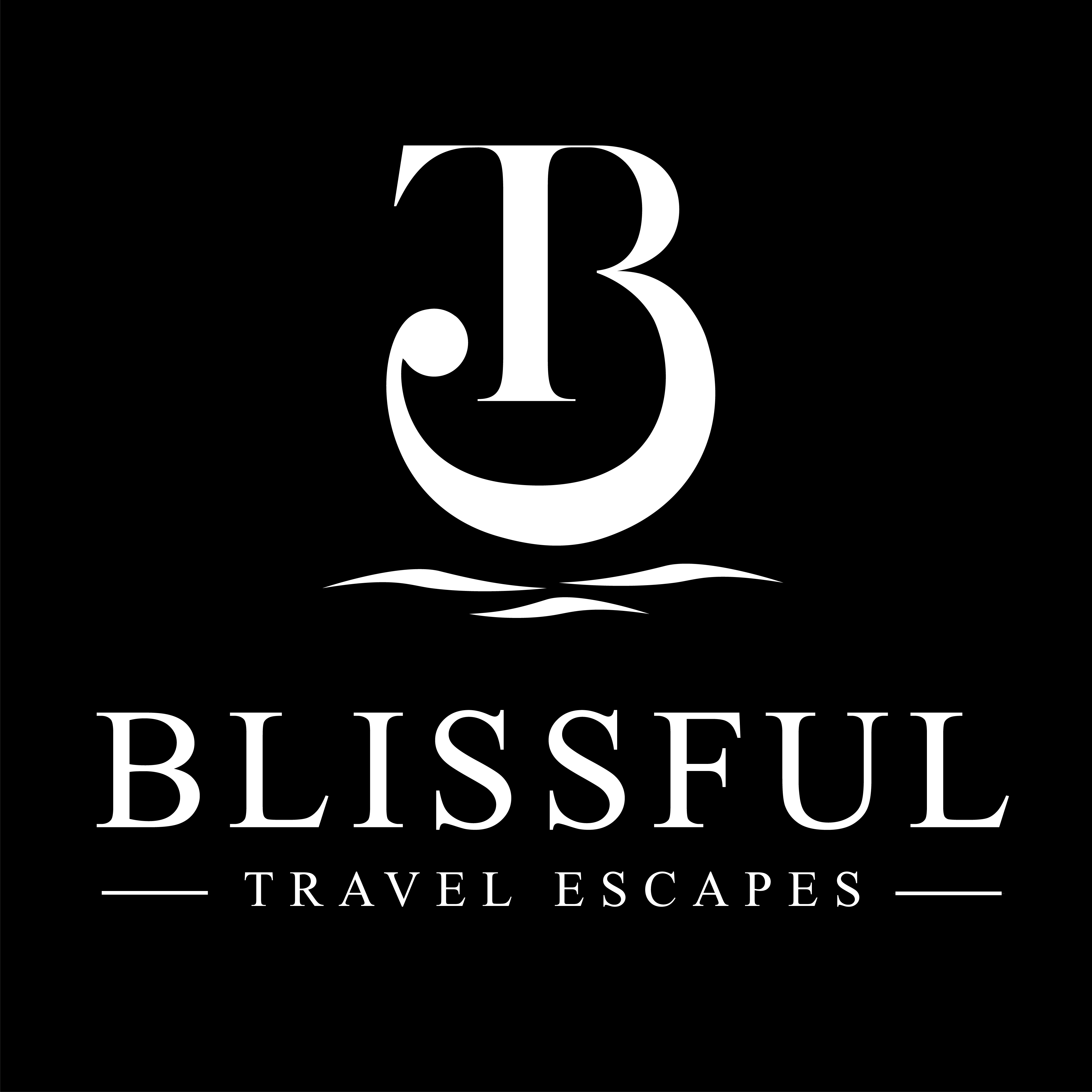 advisor business logo