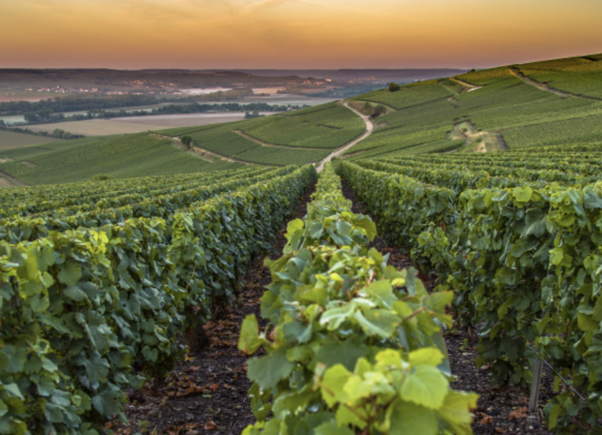 Screenshot 2026-02-23 at 9.09.49 AM.png