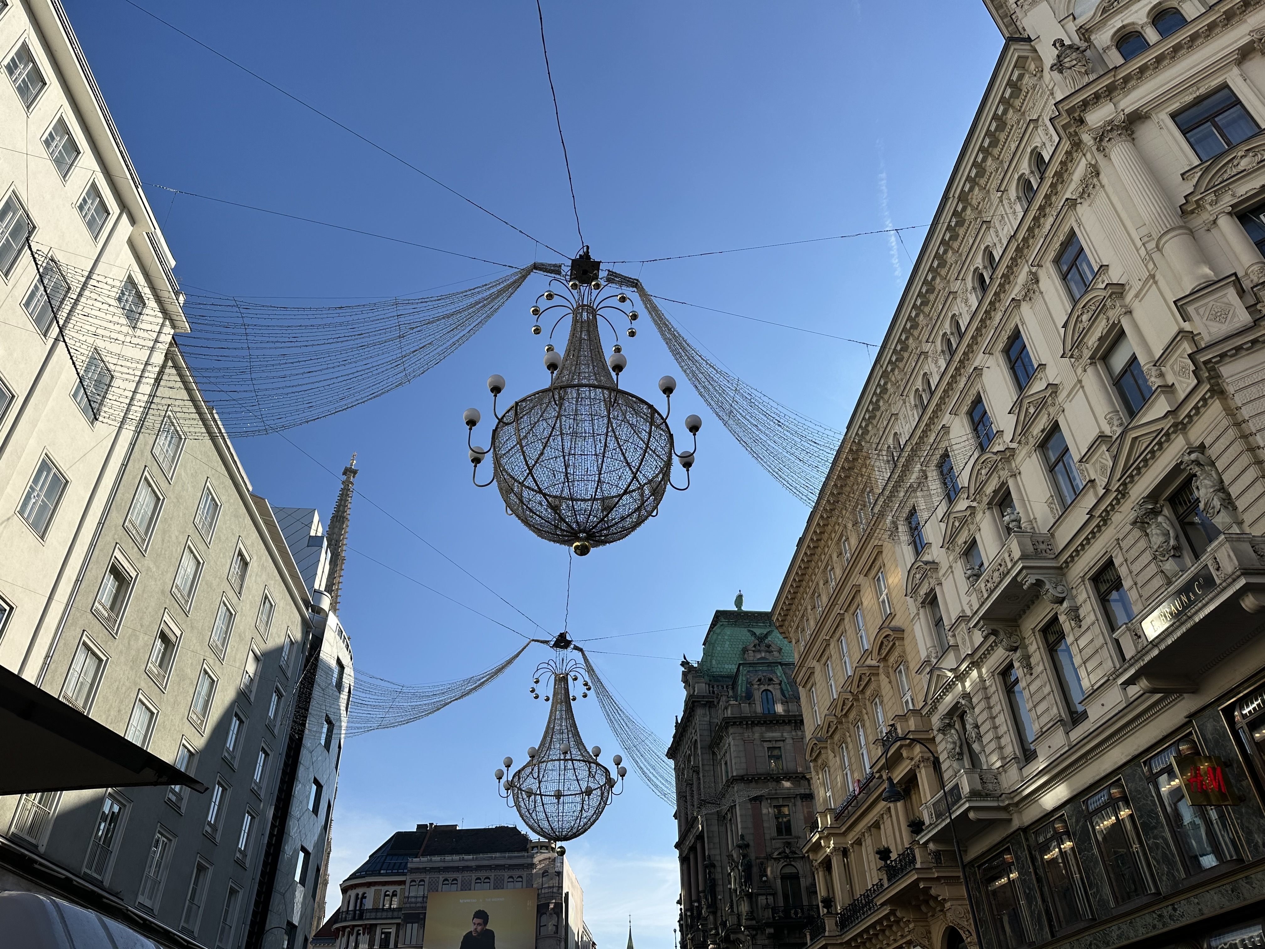 IMG_2933.jpeg