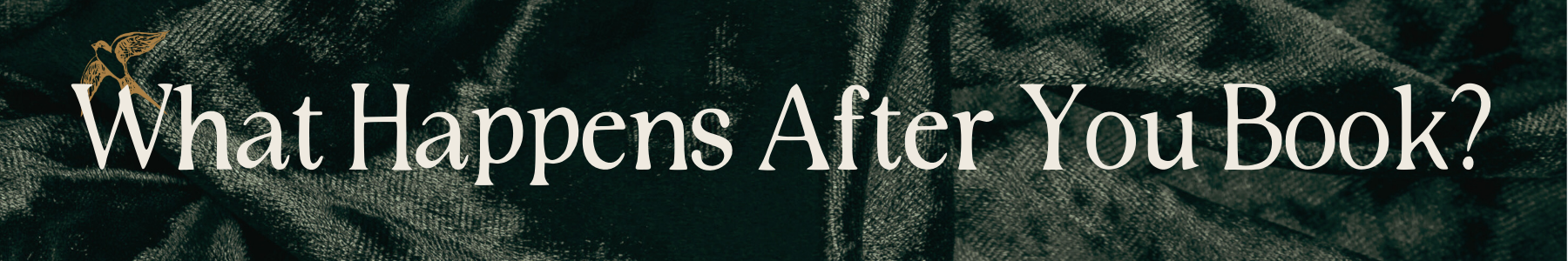 Copy of Ivory Modern Minimalistic Signature Newsletter Email Header.png