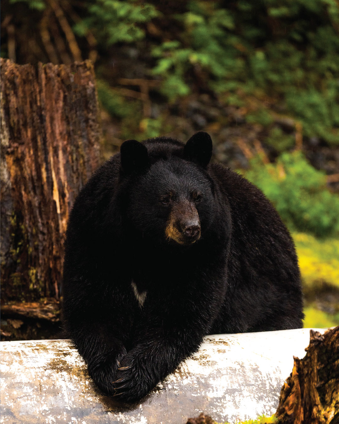 Alaska_9.3_photos.jpg