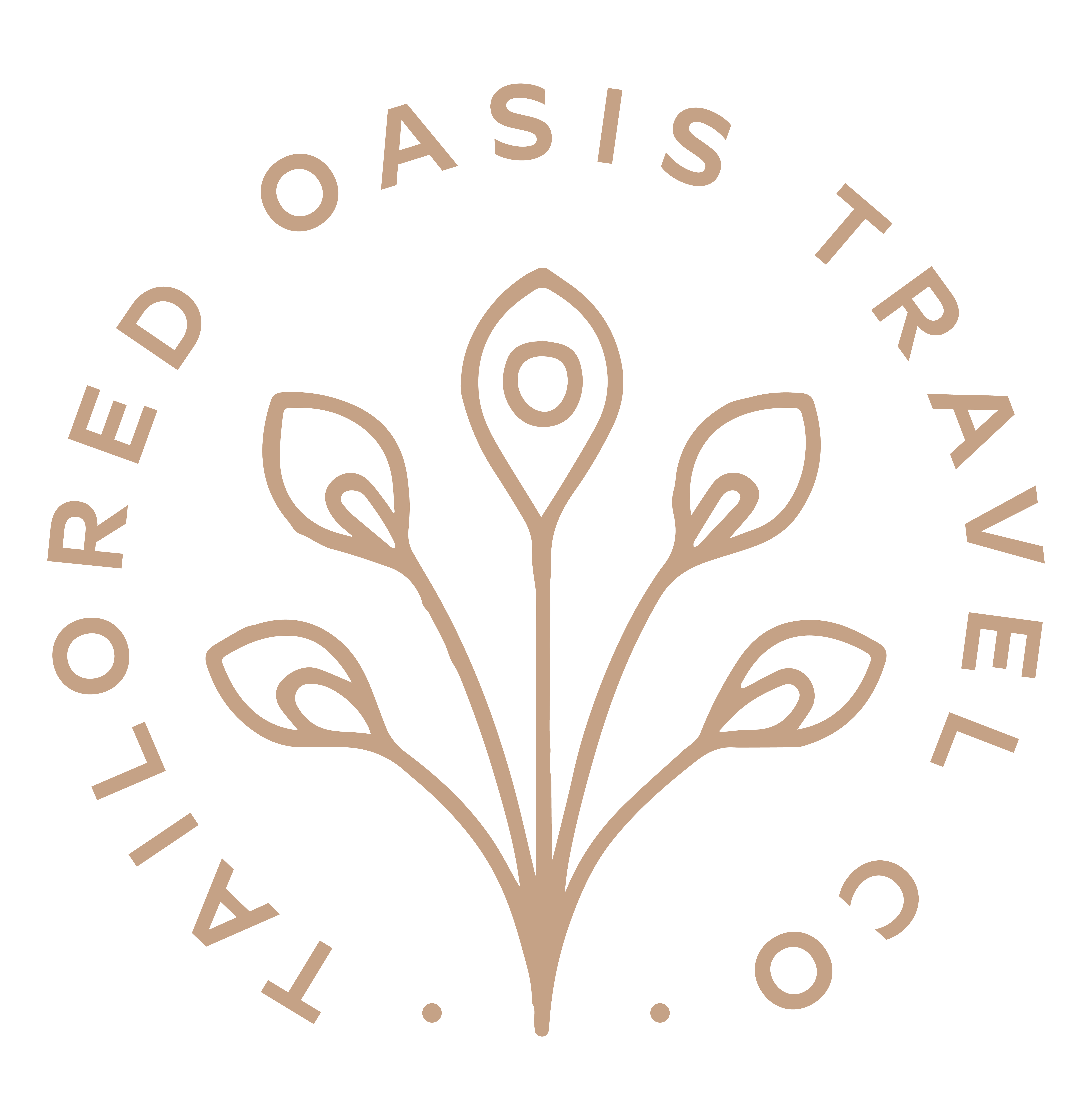 advisor business logo