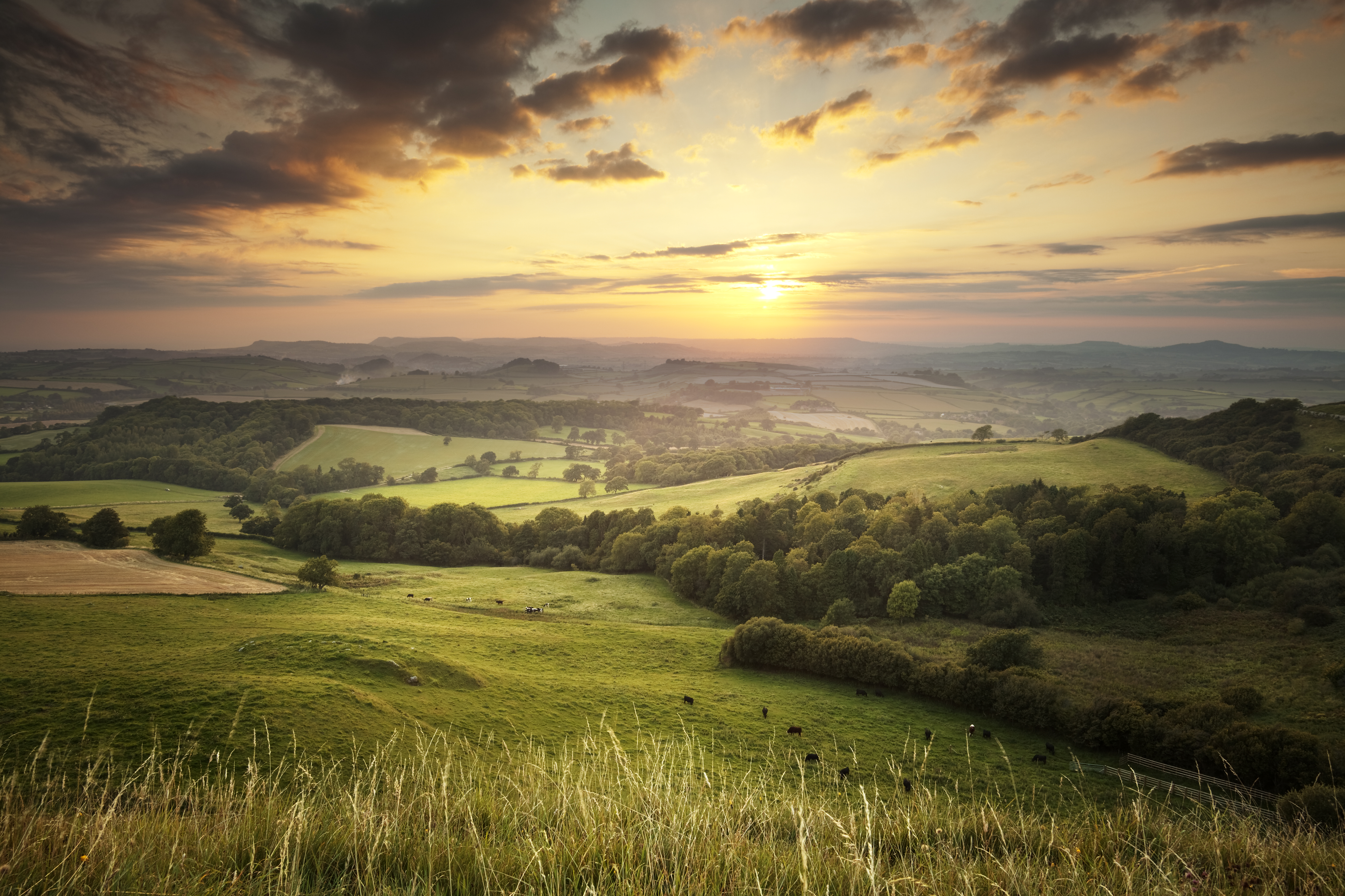Yorkshire.jpg