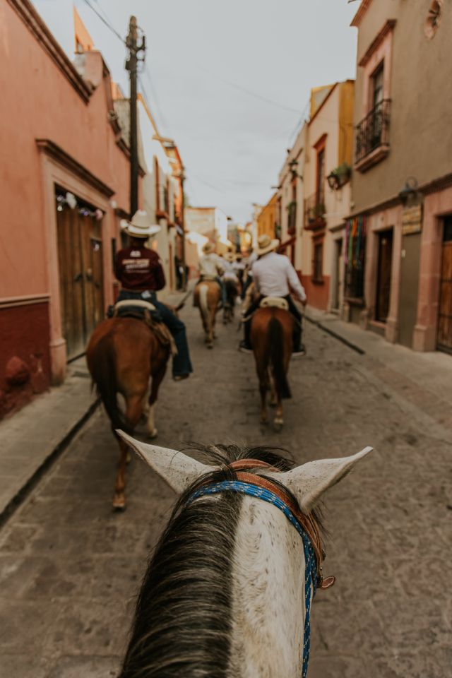 pexels-amar-25858433 (3).jpg