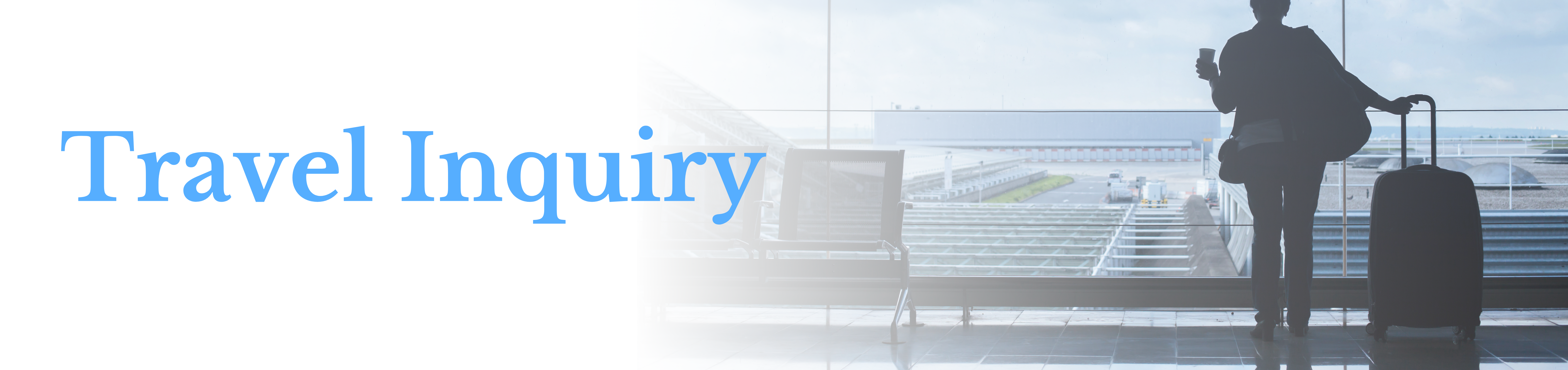 Travel Inquiry header.png