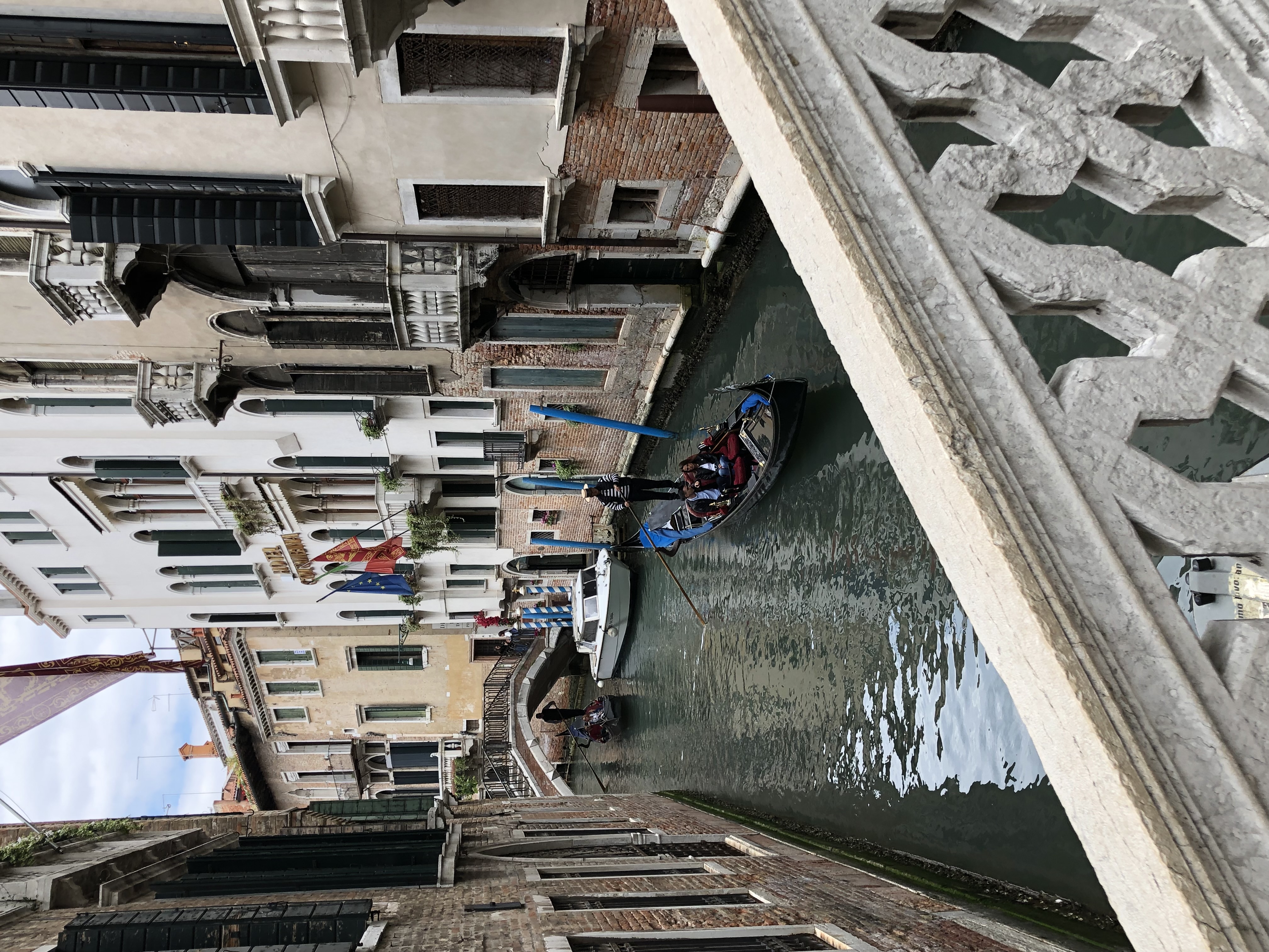 IMG_5401.jpeg