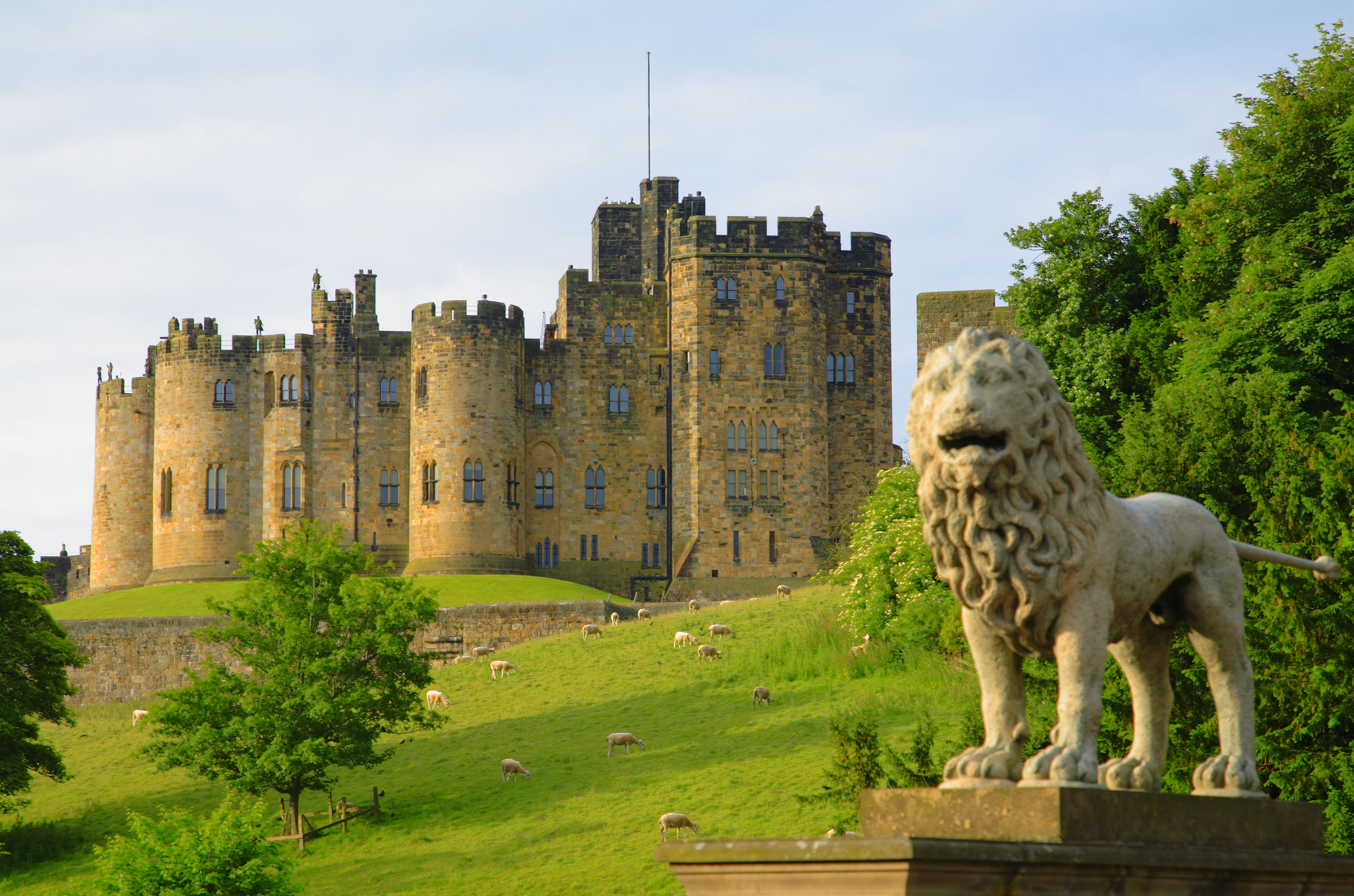 Alnwick Castle and lion.jpg