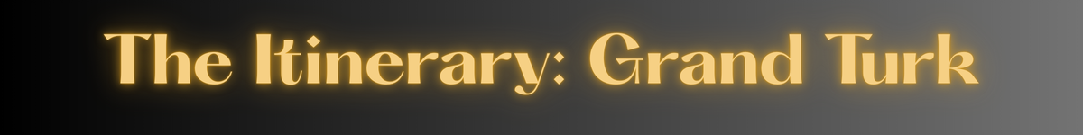 Copy of Newsletter Header Glow (1).png