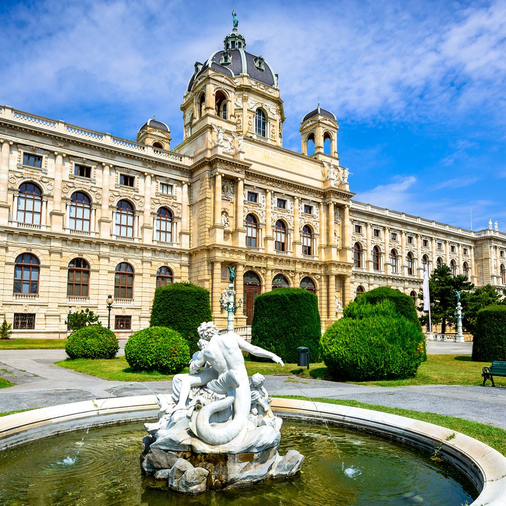 VIENNA-FINE-ARTS-MUSEUM.jpg
