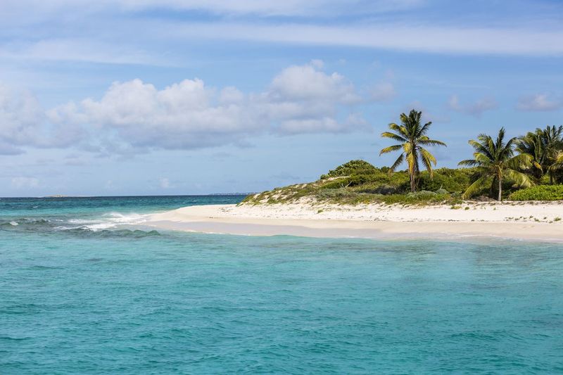 anguilla.jpeg