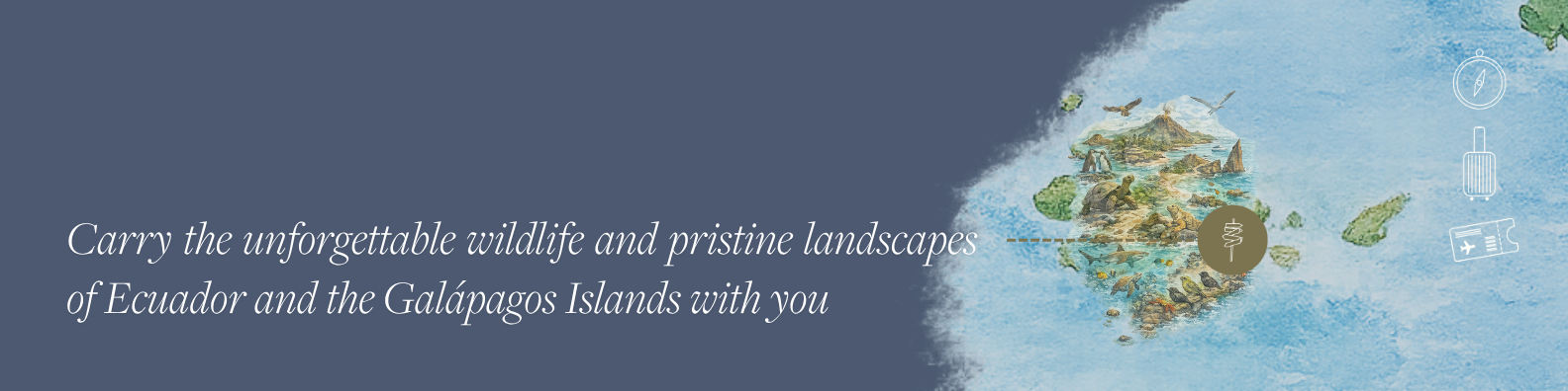 A - Banner - CTC Branding (22).png