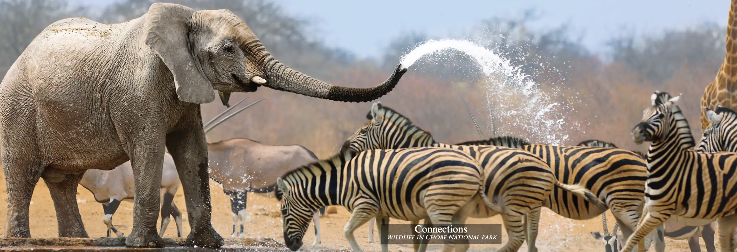 Screenshot 2024-09-23 at 9.07.14 AM.png