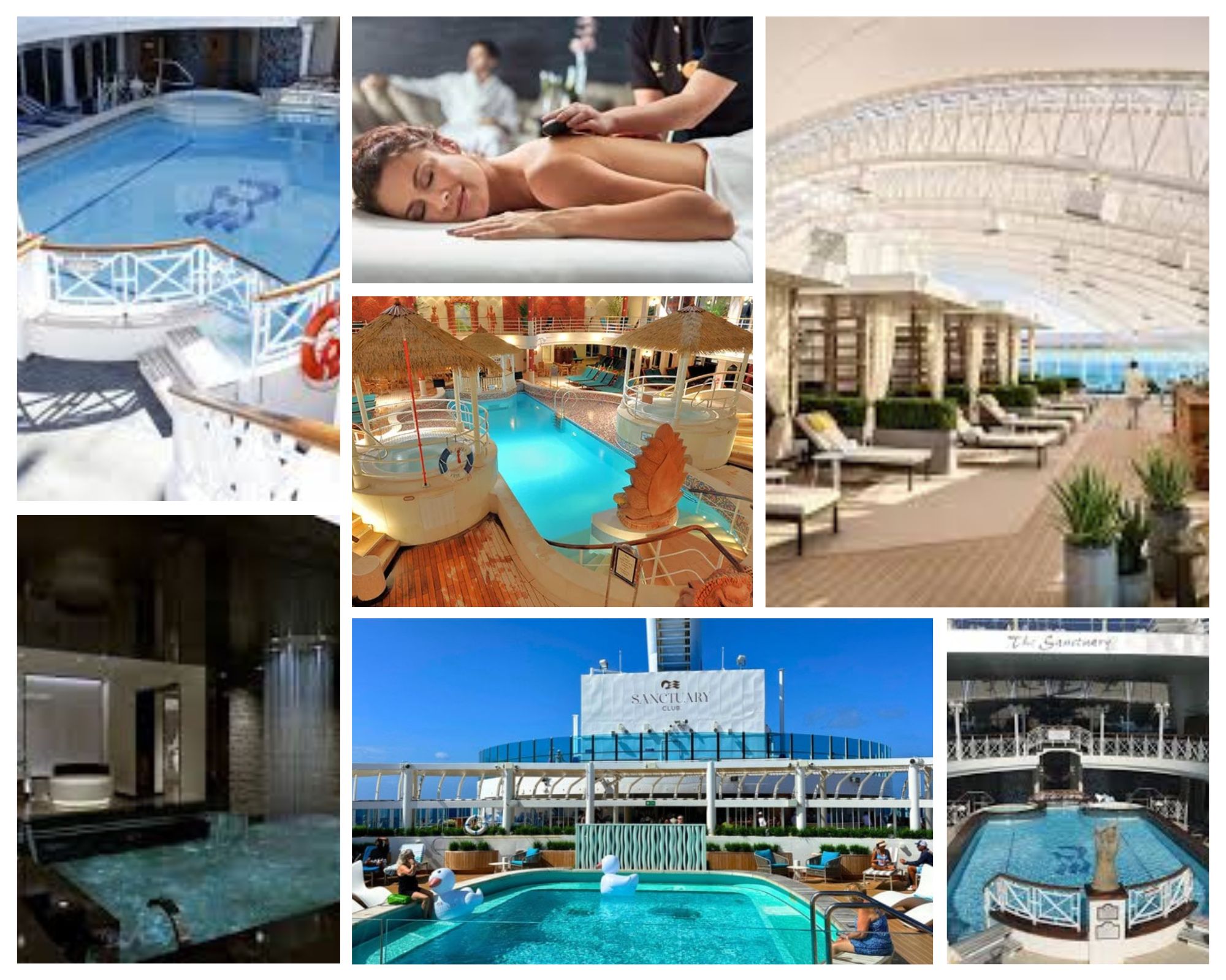Grand Princess TERN Photo Collage Wellness.jpg