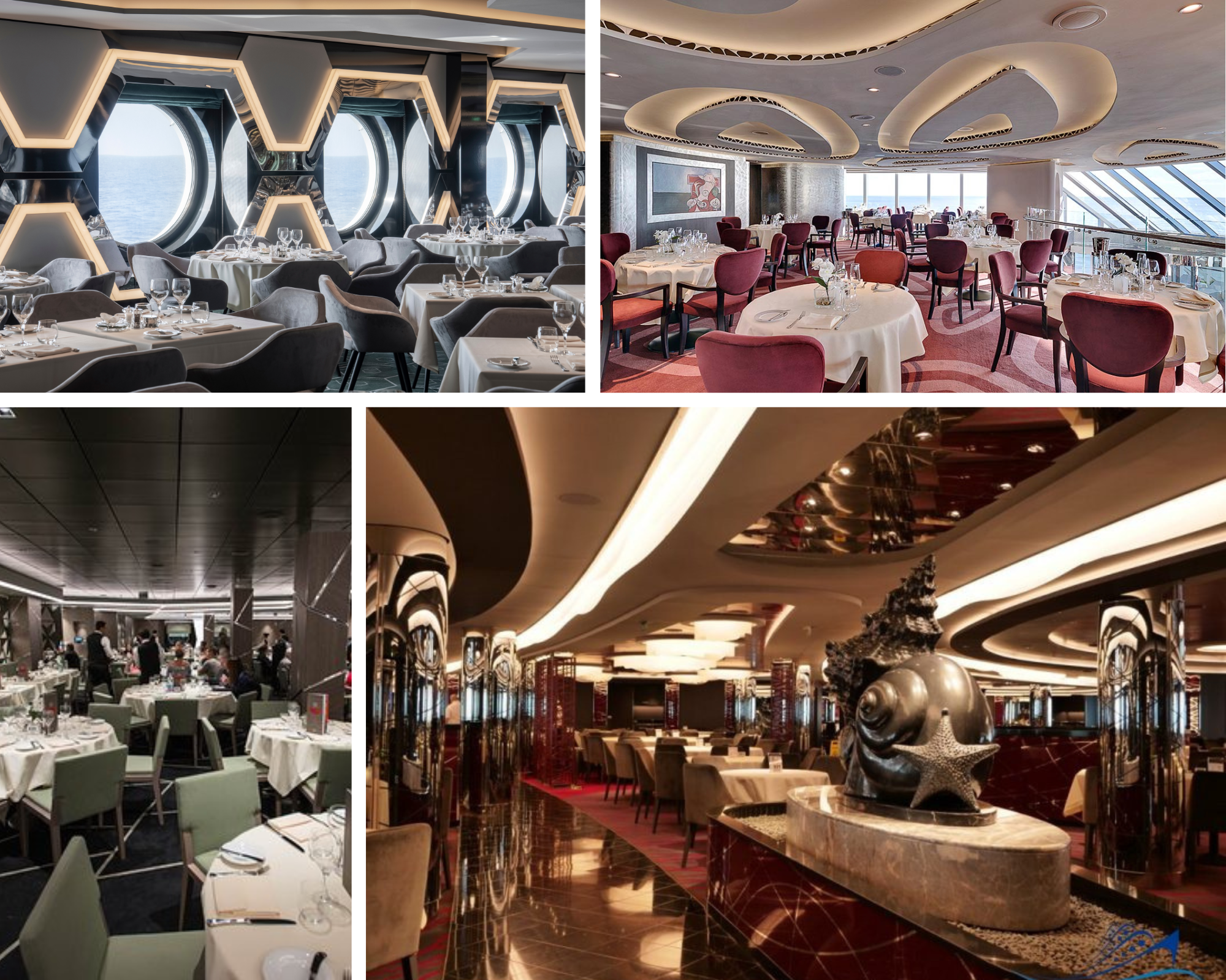 Untitled design (25).png