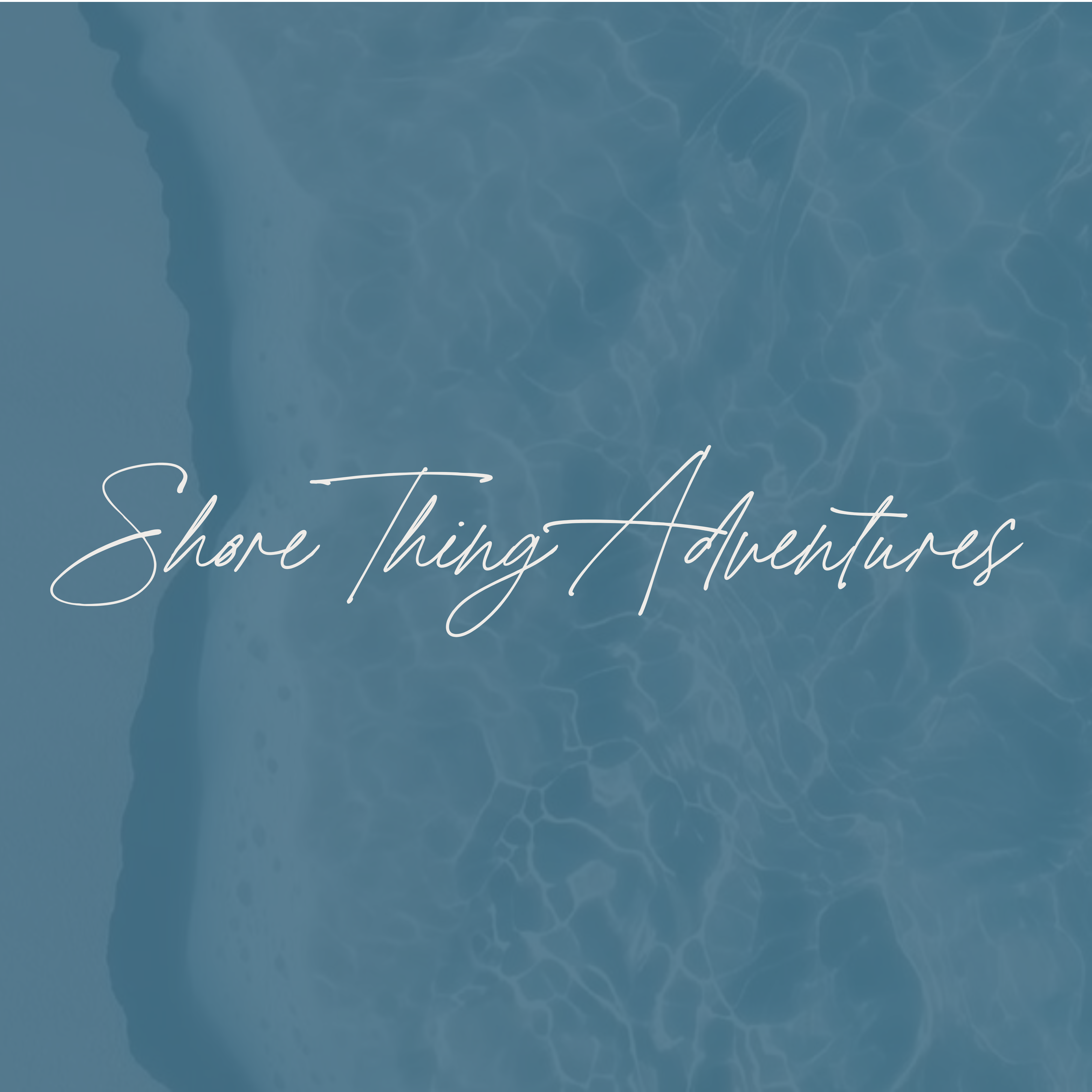 advisor business logo