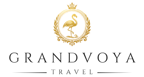 advisor business logo