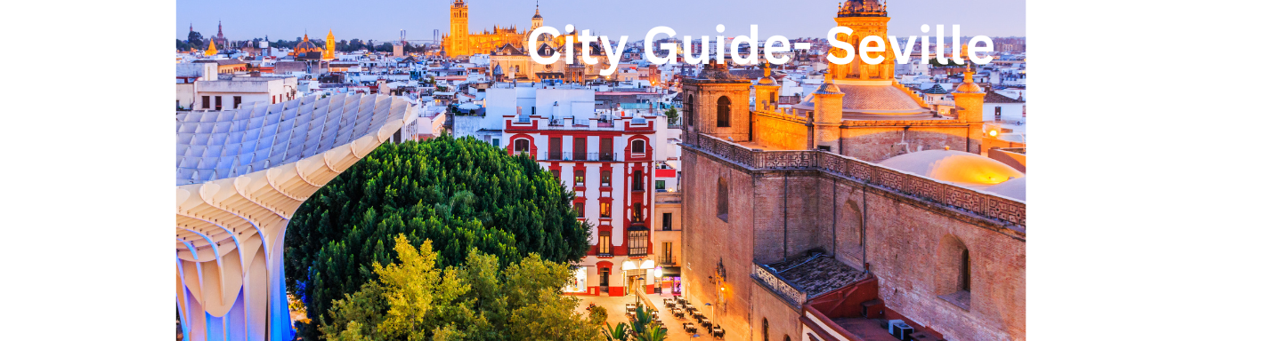 Tern City Guide Template (1440 x 384 px).png