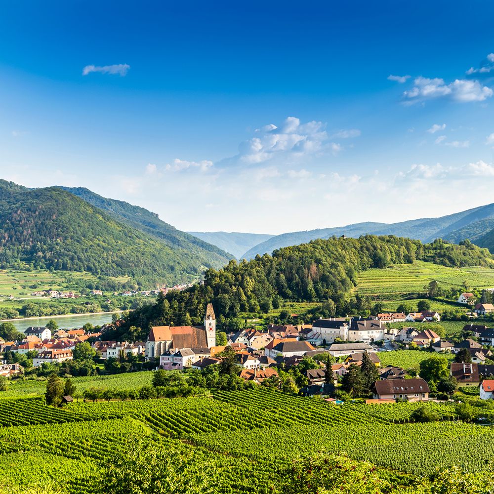 WACHAU-VALLEY.jpg