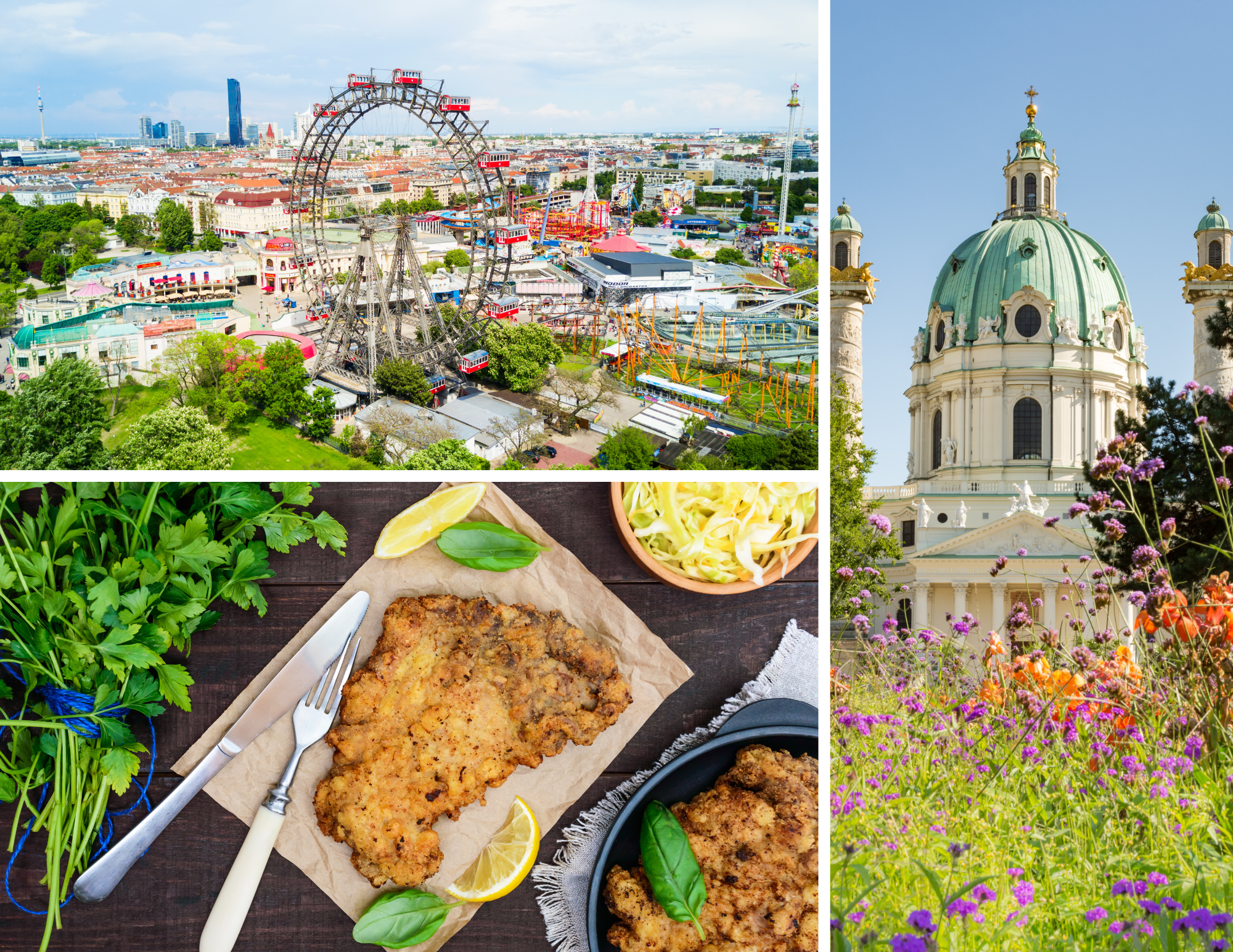 Vienna Scenic Cruising (2).png
