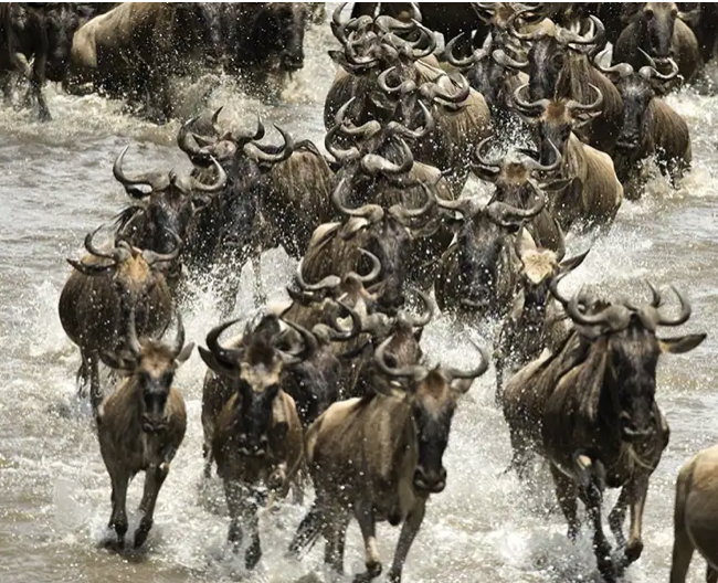 Screenshot 2024-09-23 at 10.42.33 AM.png