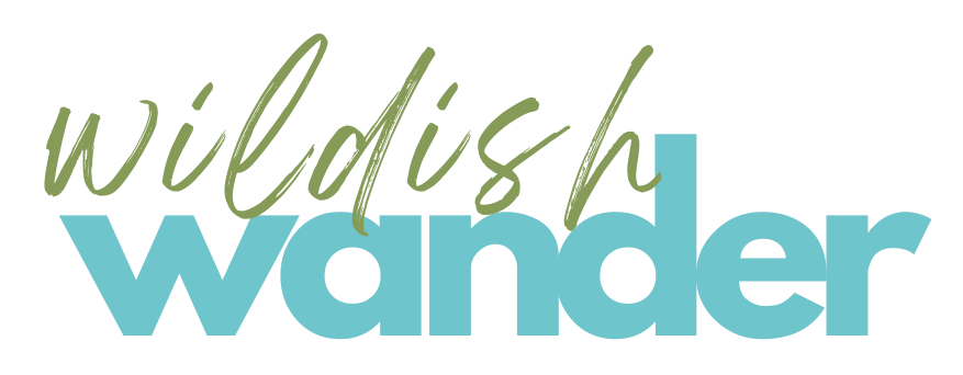 advisor business logo